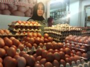 Harga Telur Ayam di Bontang Tembus 68 Per Piring, Pedagang; Tertinggi 5 Tahun Terakhir