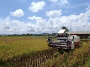 Pemprov Kaltim Akan Jawab Tantangan Penyedia Pangan Untuk Menyokong IKN Nusantara