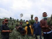 Muhammad Samsun Dorong Peningkatan SDM Petani Untuk Bersaing di IKN