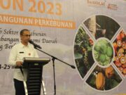 Masuk Nominasi Abdi Bhakti Tani 2023, Disbun Kaltim Maksimalkan Pelayanan Publik