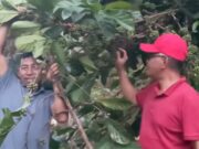 Komoditas Kopi Berkontribusi Penuh dalam Pembangunan Daerah, Kata Muhammad Samsun saat Reses di Desa Pragat Baru Kaltim DPRD Kaltim Muhammad Samsun, menyempatkan diri berkunjung ke Kampung Kopi Luwak. (Dok. Kaltimkoranseruya)
