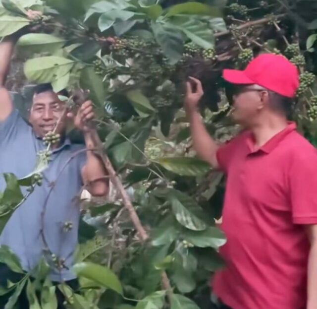 DPRD Kaltim Muhammad Samsun, menyempatkan diri berkunjung ke Kampung Kopi Luwak. (Dok. Kaltimkoranseruya)