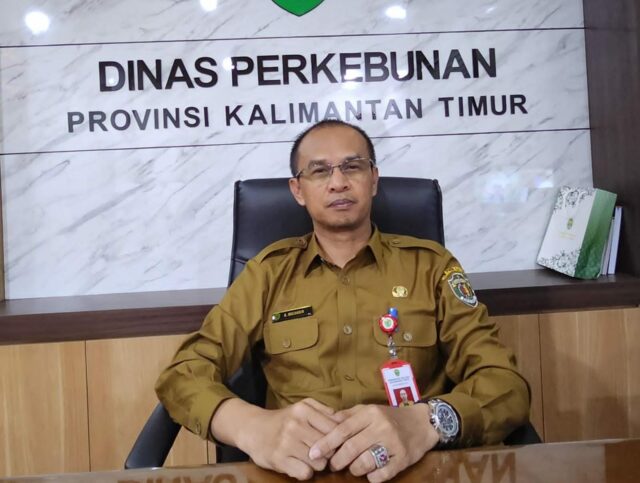 Ahmad Muzakkir, Kepala Dinas Perkebunan Kaltim