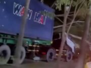Tidak Ada Hujan, Tidak Ada Angin, Pohon Tumbang Menimpa Mobil 10 Roda di Kelurahan Air Hitam Samarinda Mobil Tertimpa Pohon (Dok. ist)