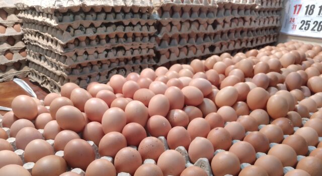 Harga telur meroket (dok: katakaltim)