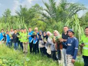 Menteri Koperasi Budi Arie Setiadi Masuk 5 Teratas Riset Kepuasan Masyarakat PTI (dok: seruya)