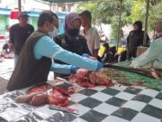Waspada Cacing Hati Hewan Kurban di Balikpapan Dinas Pangan, Pertanian, dan Perikanan (DP3) Kota Balikpapan meninjau pelaksanaan pemotongan hewan kurban di Perayaan Hari Raya Idul Adha 1446 Hijriah.