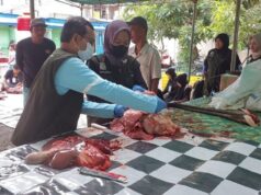 Waspada Cacing Hati Hewan Kurban di Balikpapan Dinas Pangan, Pertanian, dan Perikanan (DP3) Kota Balikpapan meninjau pelaksanaan pemotongan hewan kurban di Perayaan Hari Raya Idul Adha 1446 Hijriah.