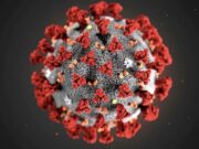 2 Warga Terjangkit Virus Corona di Kota Samarinda Ilustrasi covid (dok: ist)