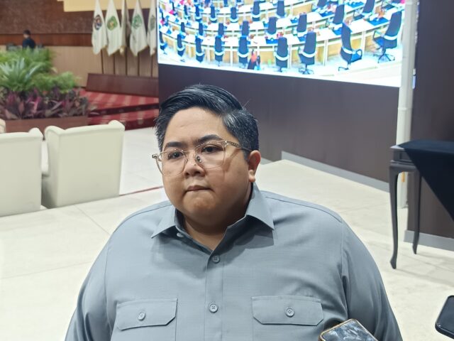 Wakil Ketua DPRD Kaltim, Ananda Emira Moeis. (Foto : AL)