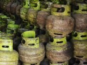 Pemkot Bontang Temukan Pengecer Simpan Ratusan Tabung LPG 3 Kg Saat Monitoring Distribusi Ilustrasi ratusan tabung LPG 3 Kg yang tersimpan di salah satu pengecer di Kota Bontang (dok:ist)